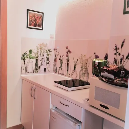 Ferienappartments Fuehldichwohl מלון 4*