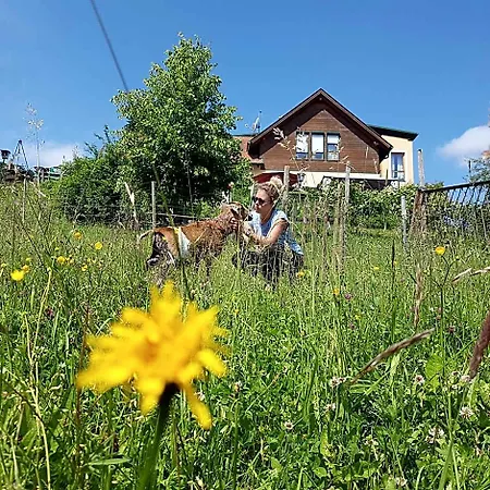 Ferienappartments Fuehldichwohl 4* Fehring