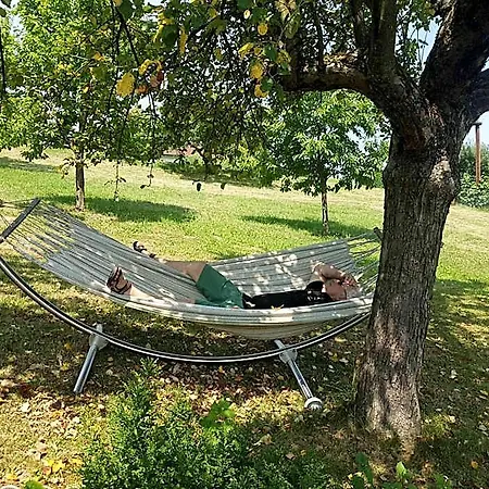 Hotel Ferienappartments Fuehldichwohl 4*