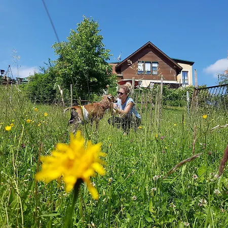 Ferienappartments Fuehldichwohl 4* Fehring