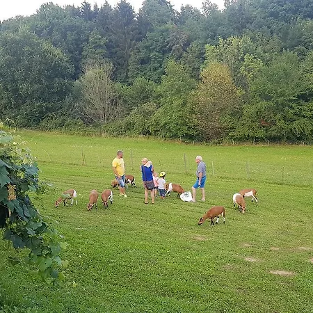 Hotel Ferienappartments Fuehldichwohl