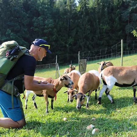 Ferienappartments Fuehldichwohl Hotel 4*