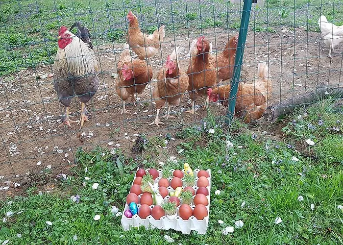 Ferienappartments Fuehldichwohl Fehring