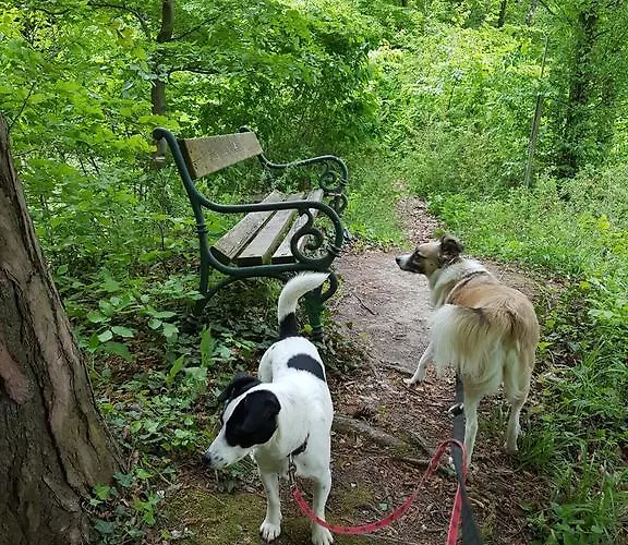 فندق Ferienappartments Fuehldichwohl Fehring