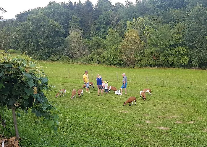 Hotel Ferienappartments Fuehldichwohl