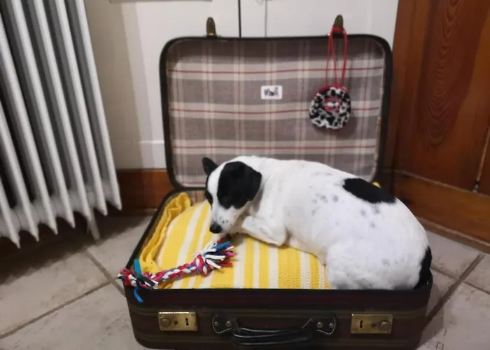 酒店 Ferienappartments Fuehldichwohl Fehring