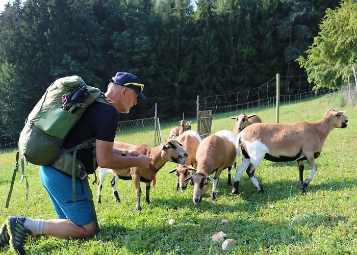 Ferienappartments Fuehldichwohl 酒店 4*